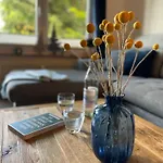 Lightquartier Treefield -sauna - Balkon- Waldnaehe * Braunlage