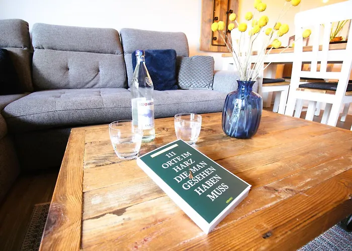 Lightquartier Treefield -sauna - Balkon- Waldnaehe Daire Braunlage