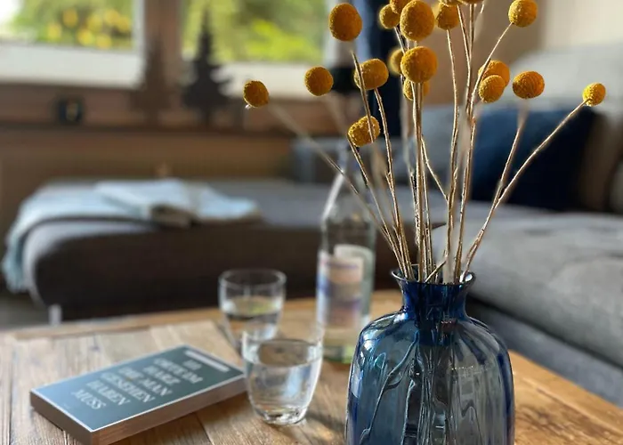 Lightquartier Treefield -sauna - Balkon- Waldnaehe * Braunlage